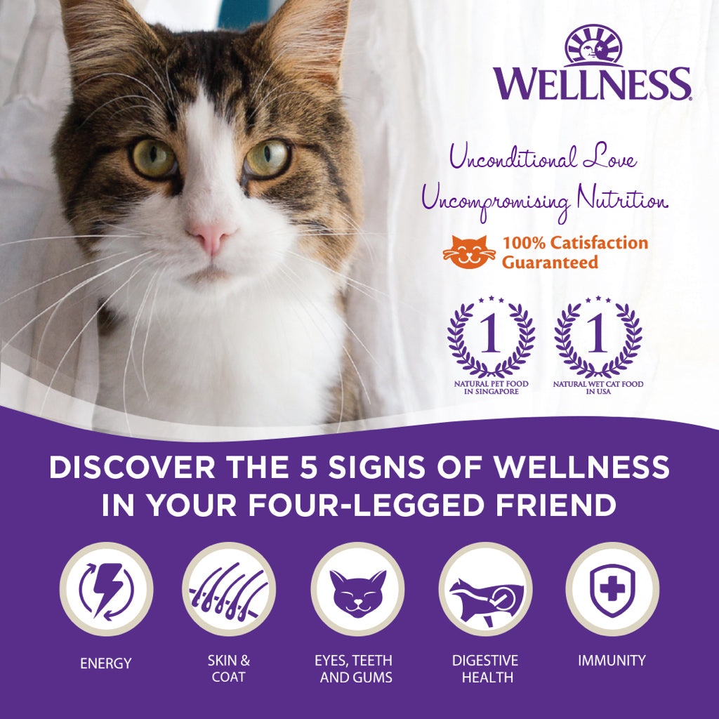 Wellness Core Signature Selects Cat Canned Can Food 5.3oz